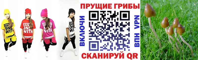 ОМГ ОМГ вход дарк нет состав Псилоцибиновые грибы ЛСД Кораблино